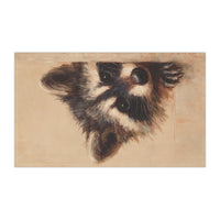 Load image into Gallery viewer, Peeking Raccoon Tea Towel | Kitchen Towel